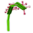 Sundew artwork