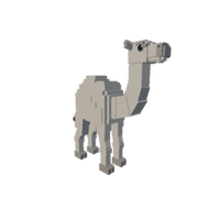 Dromedary Camel artwork