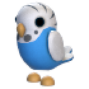Parakeet artwork