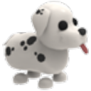 Dalmatian artwork