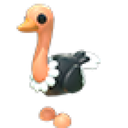 Ostrich artwork