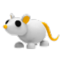 Golden Rat artwork
