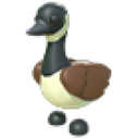 Canadian Goose artwork