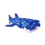 Whale Shark artwork