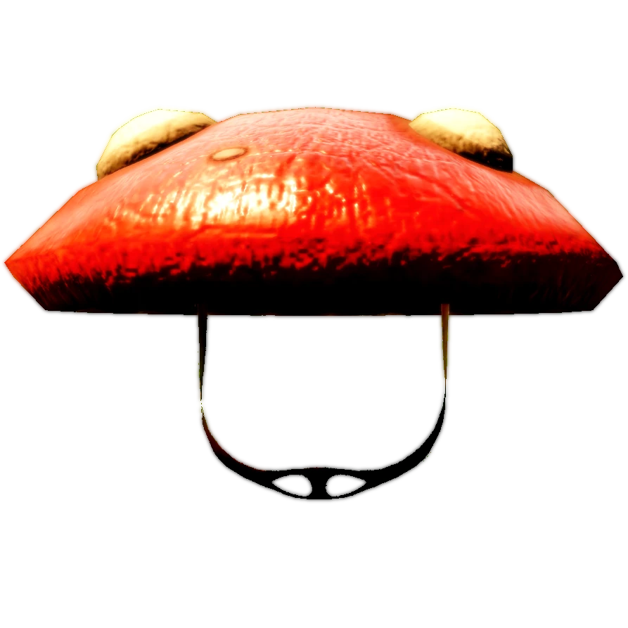Mushroom Hat artwork