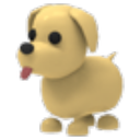 Dog artwork
