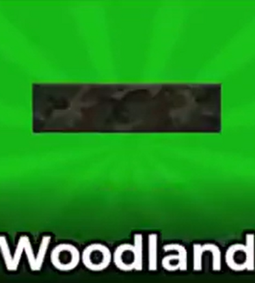 Woodland (Banner) artwork