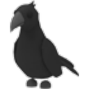 Crow artwork