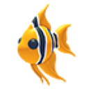 Angelfish artwork