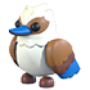 Kookaburra artwork