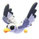 Seagull artwork