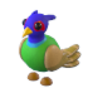 Green-Chested Pheasant artwork