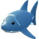 Shark artwork